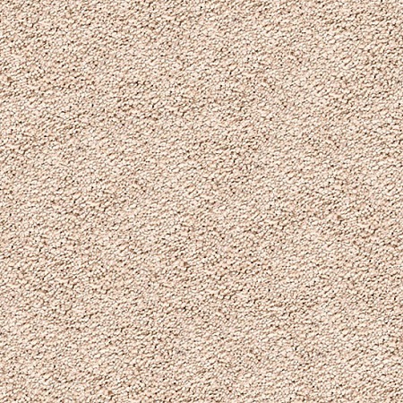 Mohawk Cozy Comfort Carpet