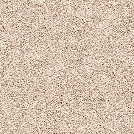 Mohawk Cozy Comfort Carpet