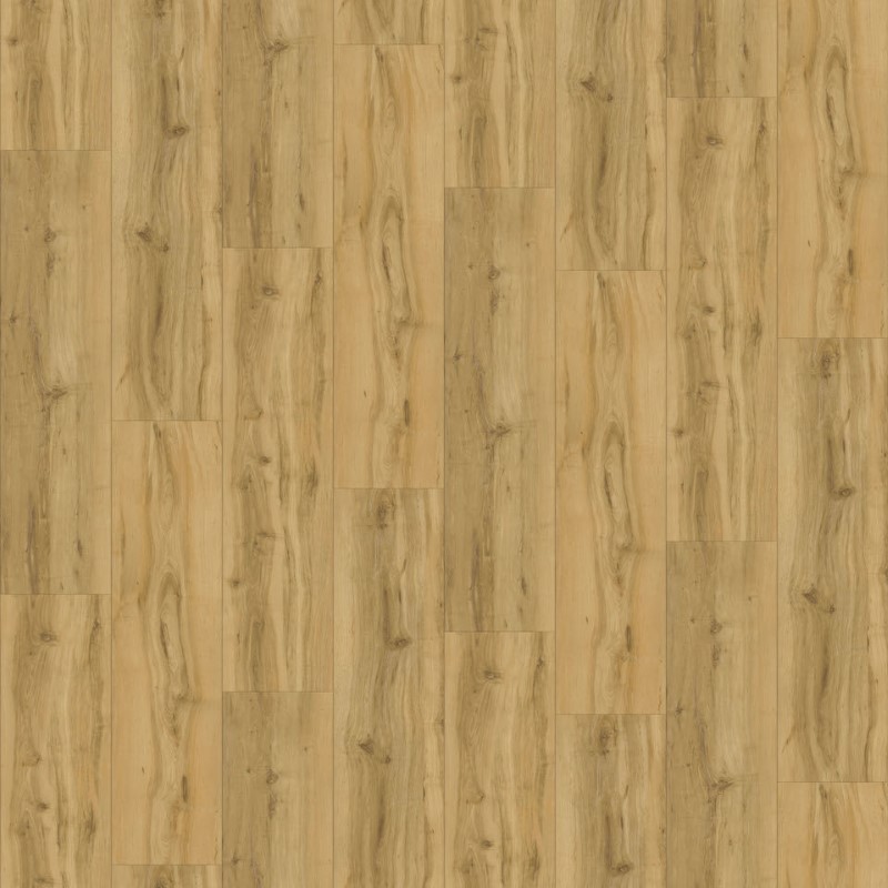 DM Flooring Prime Premium Family Tree Vinyl