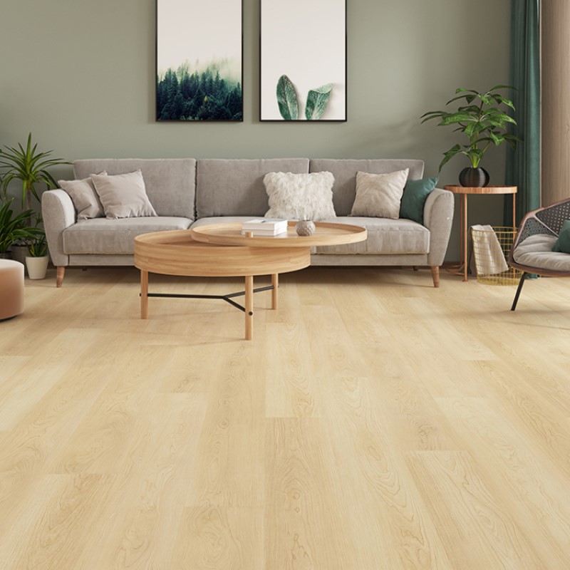 Gaia Floor White Collection Natura Maple Laminate Room Scene