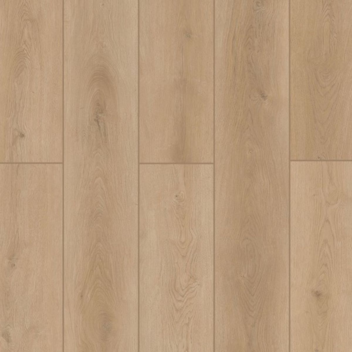 Lions Floor Indoor Delight Forest Timber Vinyl