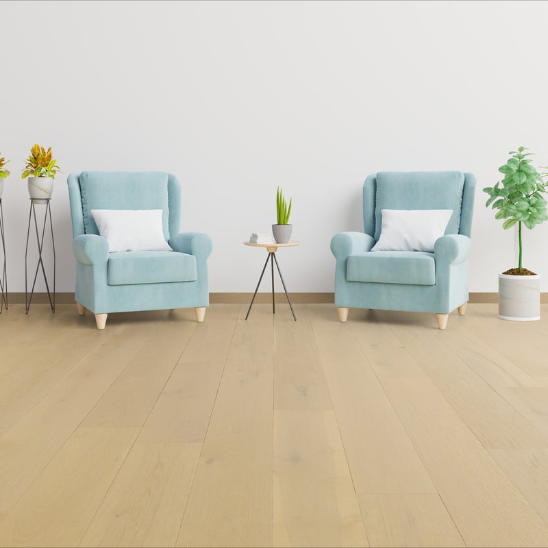 Medieval Floors Architectural Natural Summery Hardwood Room Scene