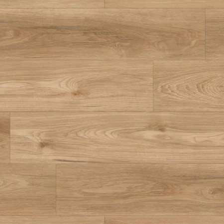 Megaclic Abbey Road Kendall Vinyl