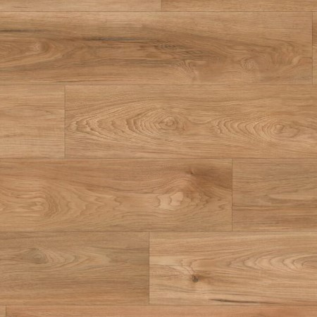 Megaclic Abbey Road Lazio Vinyl