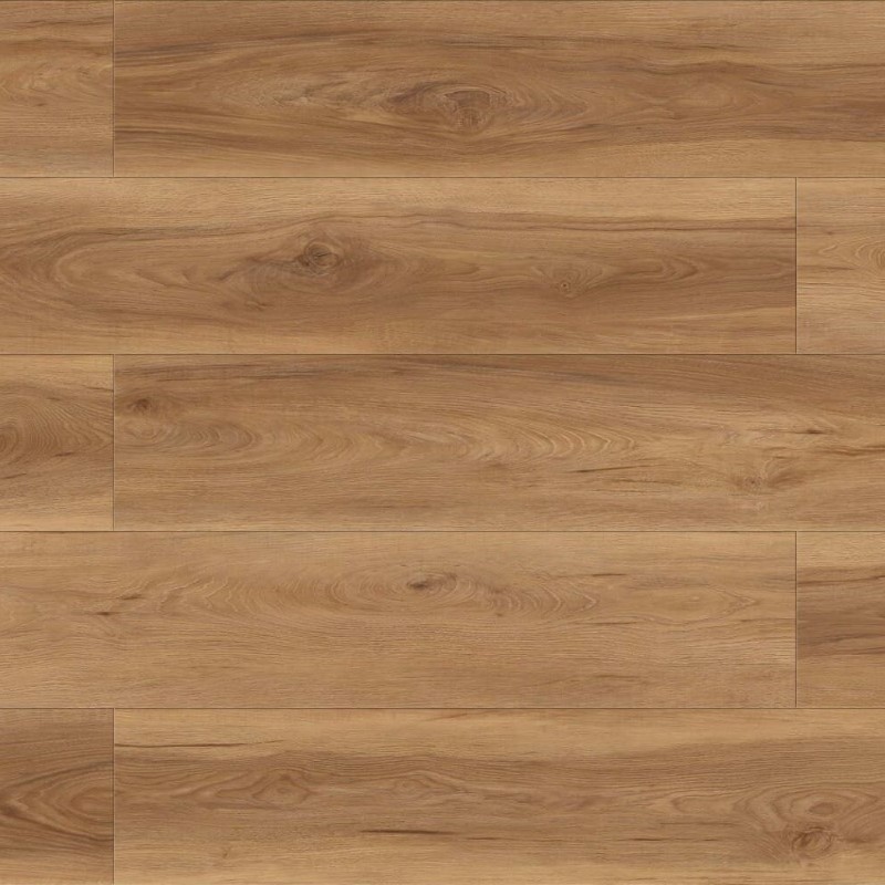 Megaclic Abbey Road Moneo Vinyl