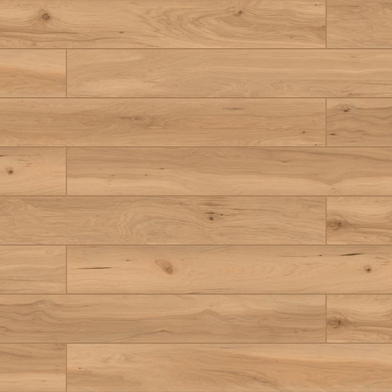 Megaclic Athens Carnelian Vinyl