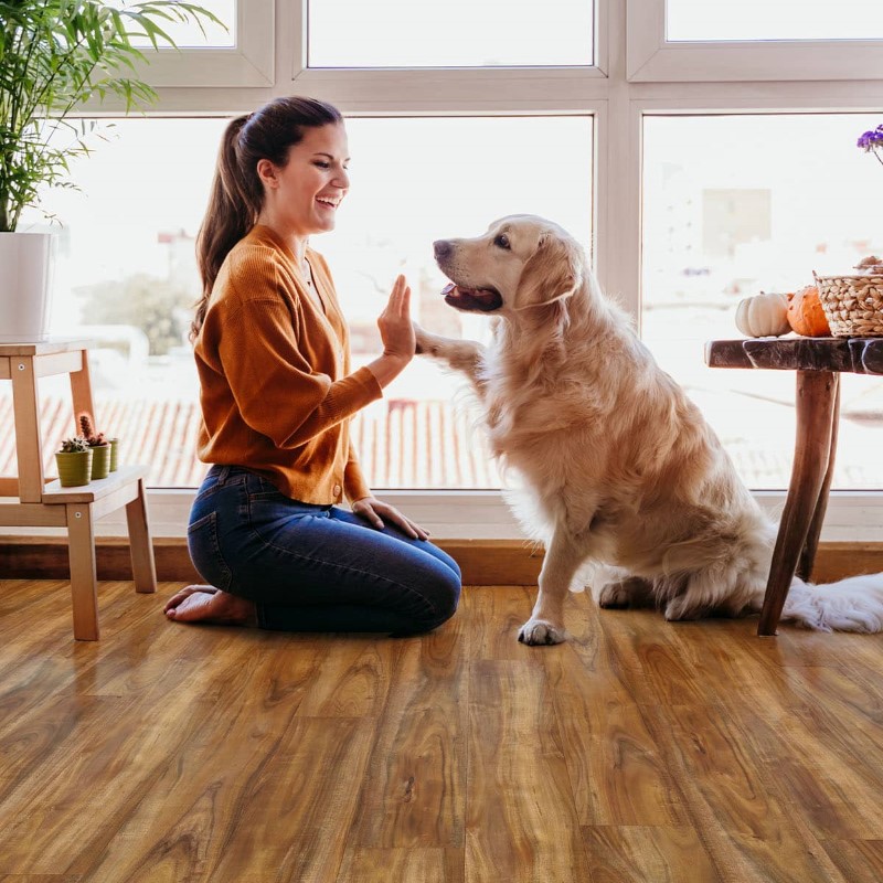 Mission Collection Foundation Deep Canyon Vinyl Room Scene