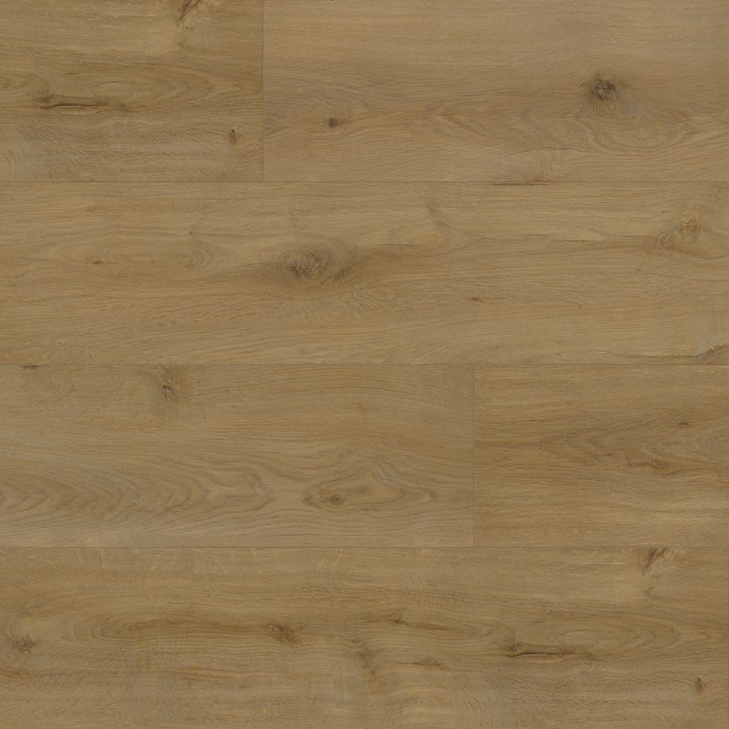 Mission Collection Palacio Brago Roasted Coconut Vinyl