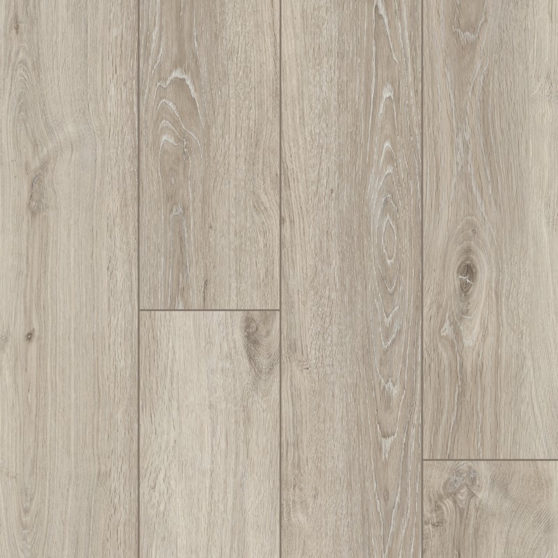 Mission Collection Palacio Cortana Plus Friar Tuck Vinyl