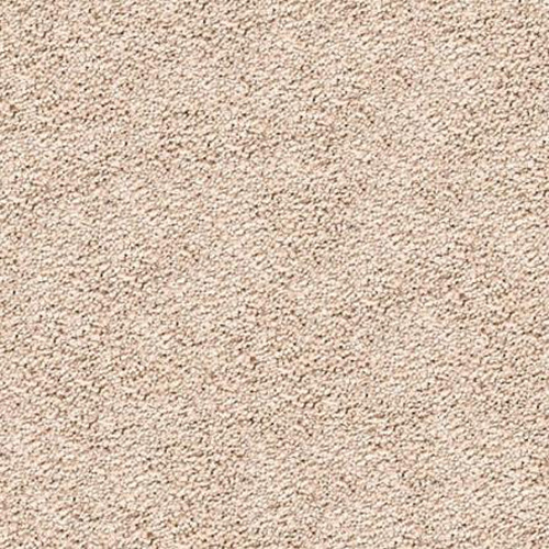 Mohawk Peaceful Mood Carpet