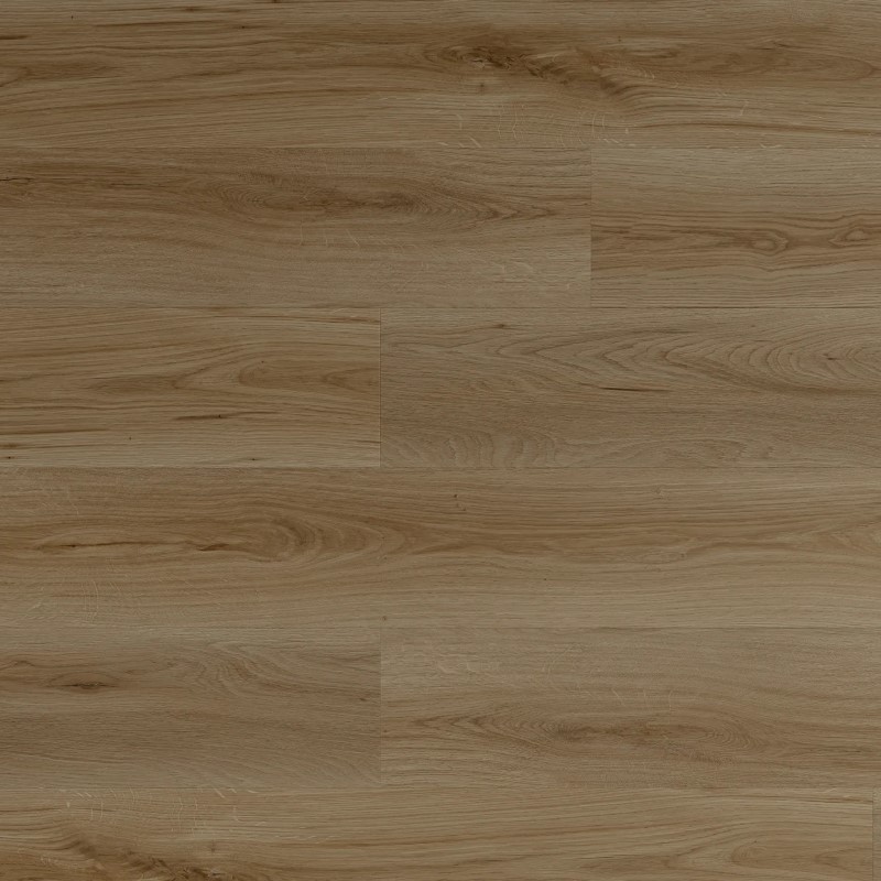 Pacific Direct Industries Poseidon Chariot Laminate