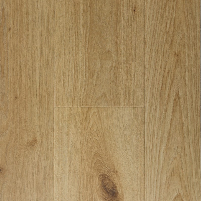 Provenza Modessa Cover Story Laminate