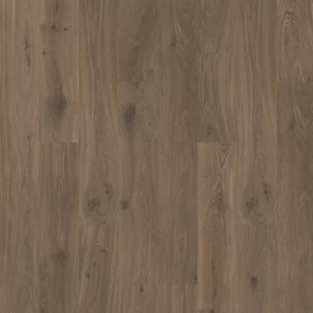 Quick Step NatureTek Select Ellicott Point Bookcase Oak Laminate