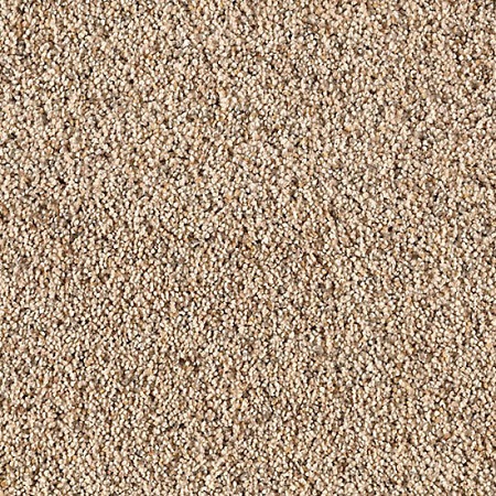 Mohawk Relaxing Retreat Carpet