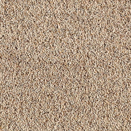 Mohawk Relaxing Retreat Carpet