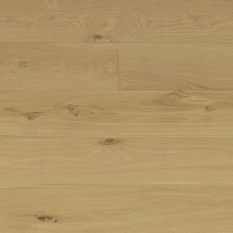 Reward Terreno Collection European Oak Conte Hardwood