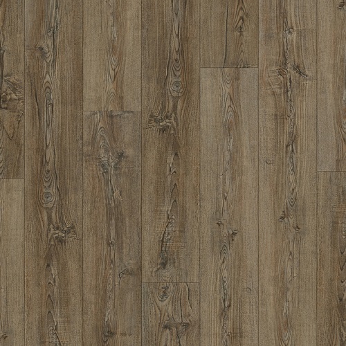 Coretec Plus HD Sherwood Rustic Pine