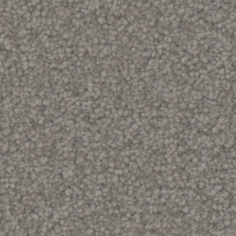 Tarkett Home Avalon Alley Carpet