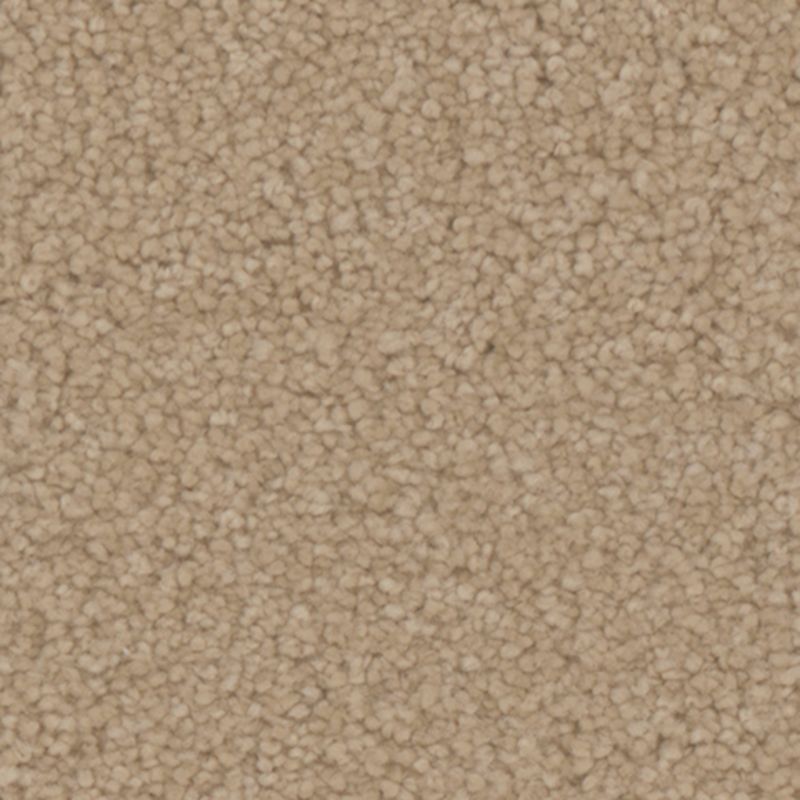 Tarkett Home Avalon Bungalow Carpet