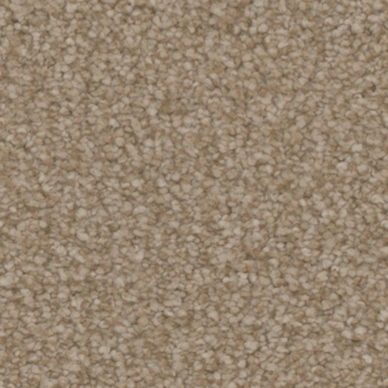 Tarkett Home Avalon Cottage Carpet