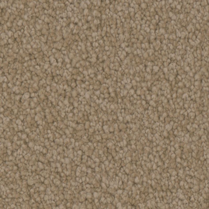 Tarkett Home Avalon Gallery Carpet