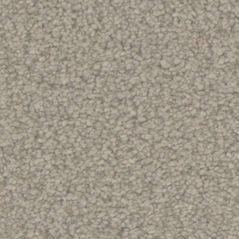 Tarkett Home Avalon Haven Carpet