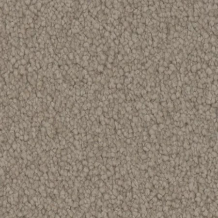 Tarkett Home Avalon Stable Carpet