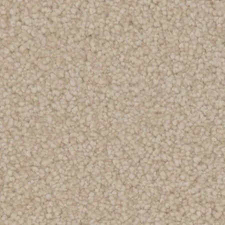 Tarkett Home Avalon Townlet Carpet