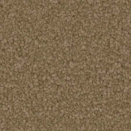 Tarkett Home Avalon Treasure Carpet