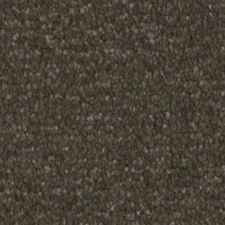 Tarkett Home Avalon Woodlands Carpet