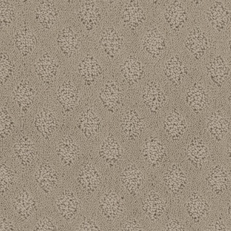 Tarkett Home Bar Harbor Weathered Carpet