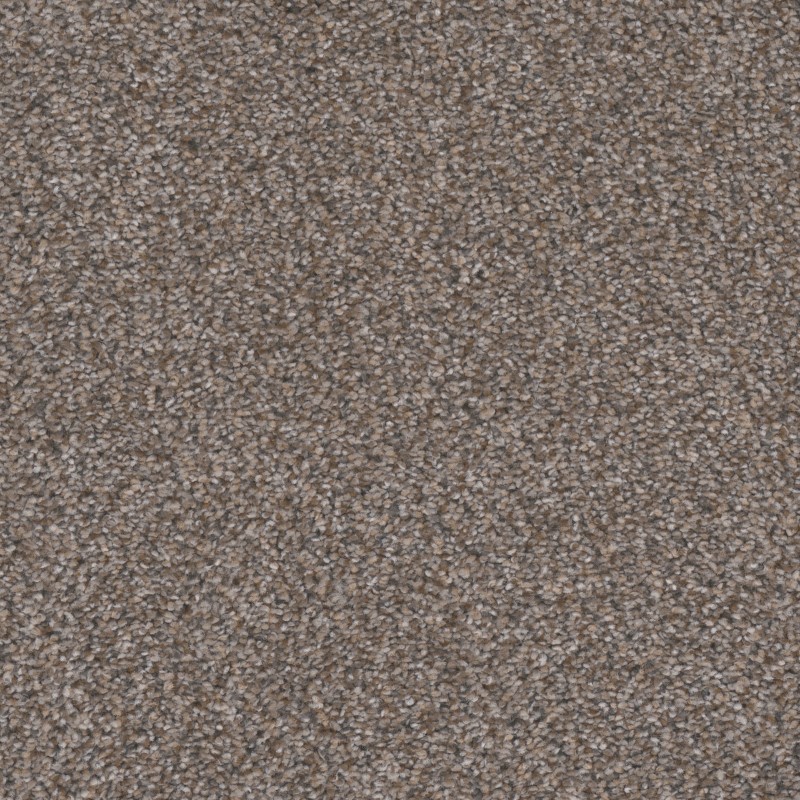 Tarkett Home Candler Park Bungalow Carpet