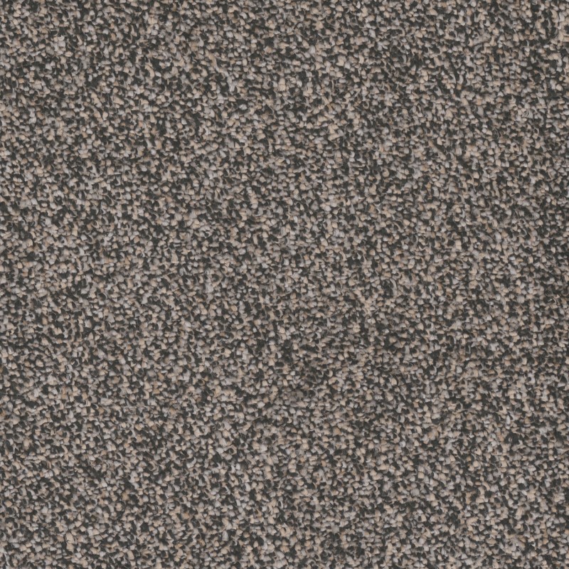 Tarkett Home Candler Park Georgian Carpet