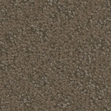 Tarkett Home Cheshire Whimsical Carpet