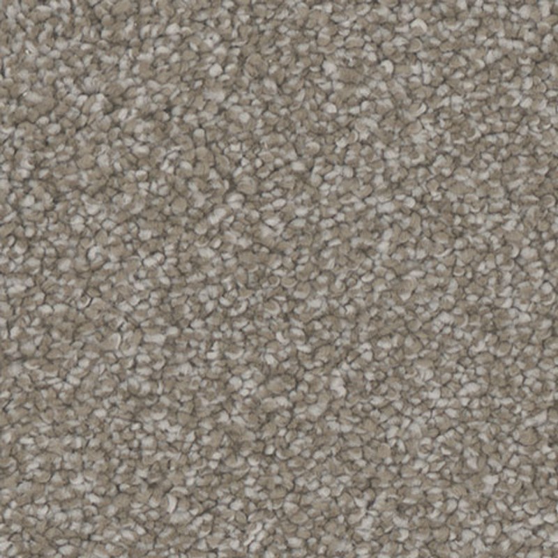 Tarkett Home Hypnotize Engage Carpet