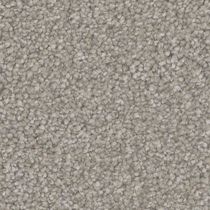 Tarkett Home Influence Awe Carpet