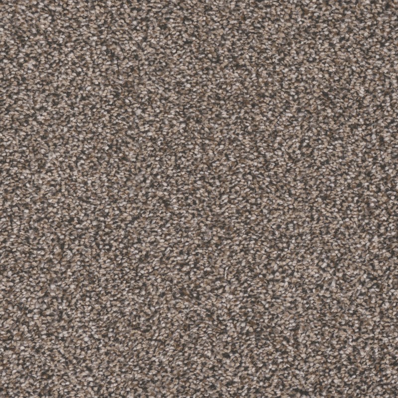 Tarkett Home Inman Park Cape Cod Carpet