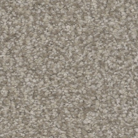 Tarkett Home Inspire Delight Carpet