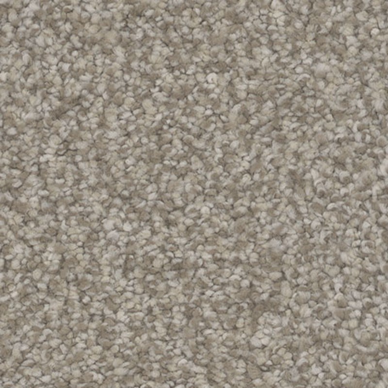 Tarkett Home Intrigue Delight Carpet