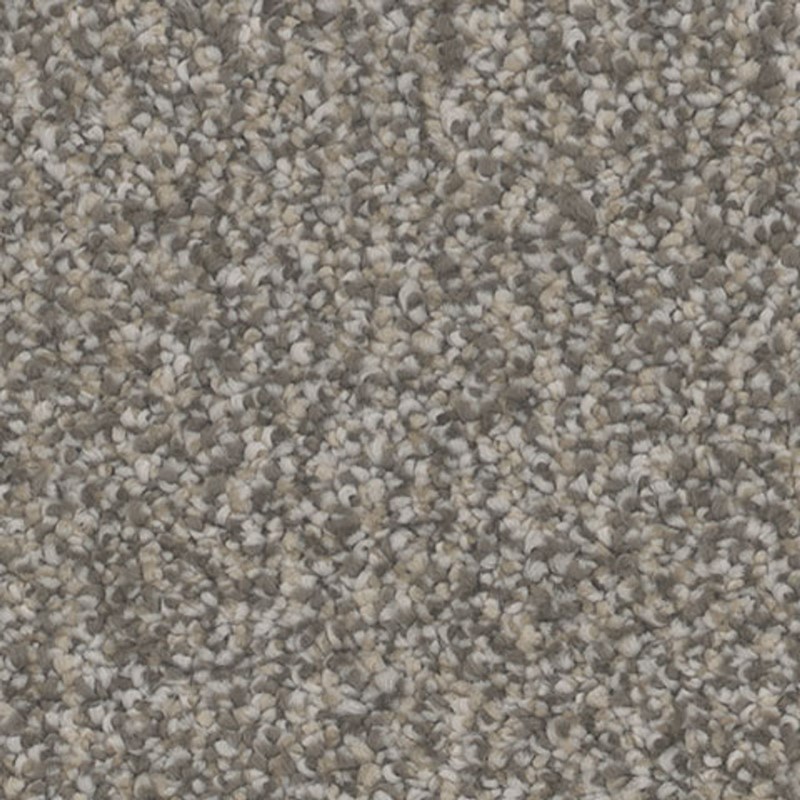 Tarkett Home Intrigue Overjoy Carpet