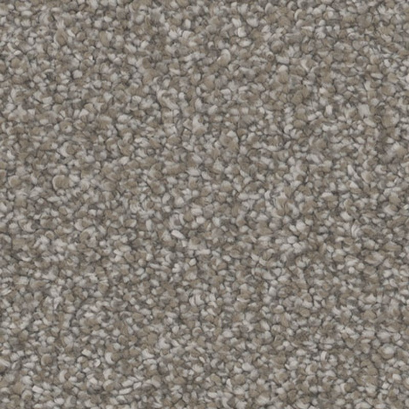 Tarkett Home Intrigue Tempt Carpet