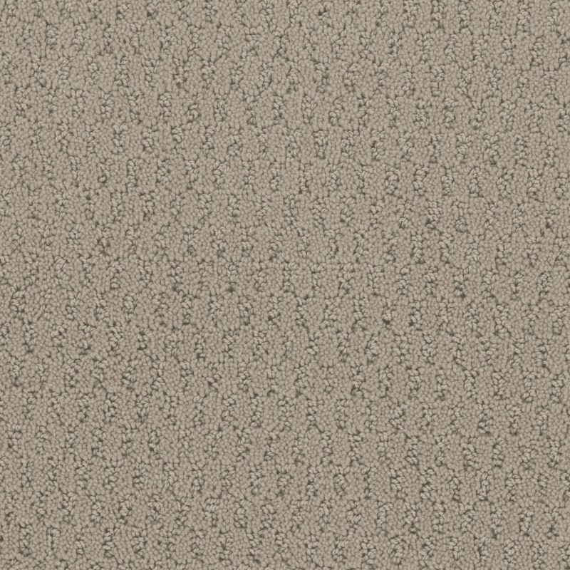 Tarkett Home Key West Weathered Carpet