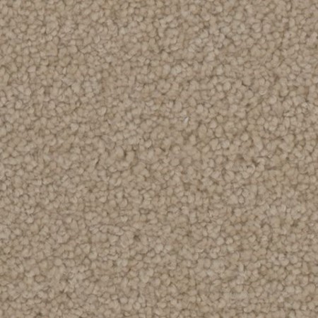 Tarkett Home Manchester Grove Carpet
