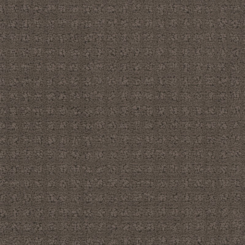 Tarkett Home Manhattan Iron Ore Carpet