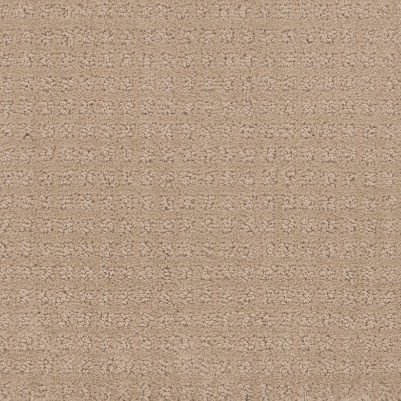 Tarkett Home Manhattan Light Dusk Carpet