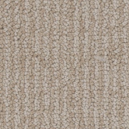 Tarkett Home Palisades Canyon Carpet