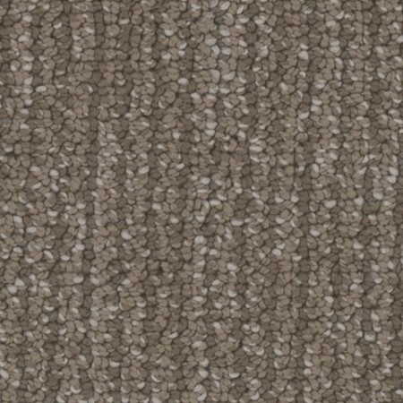 Tarkett Home Palisades Panoramic Carpet