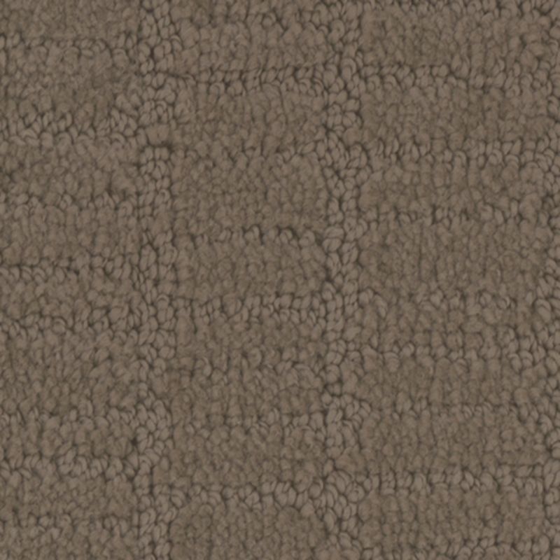 Tarkett Home Passageway Shadow Carpet
