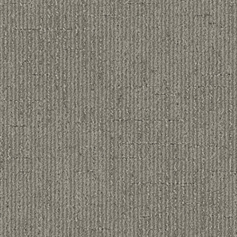Tarkett Home Pleasantries Abalone Carpet