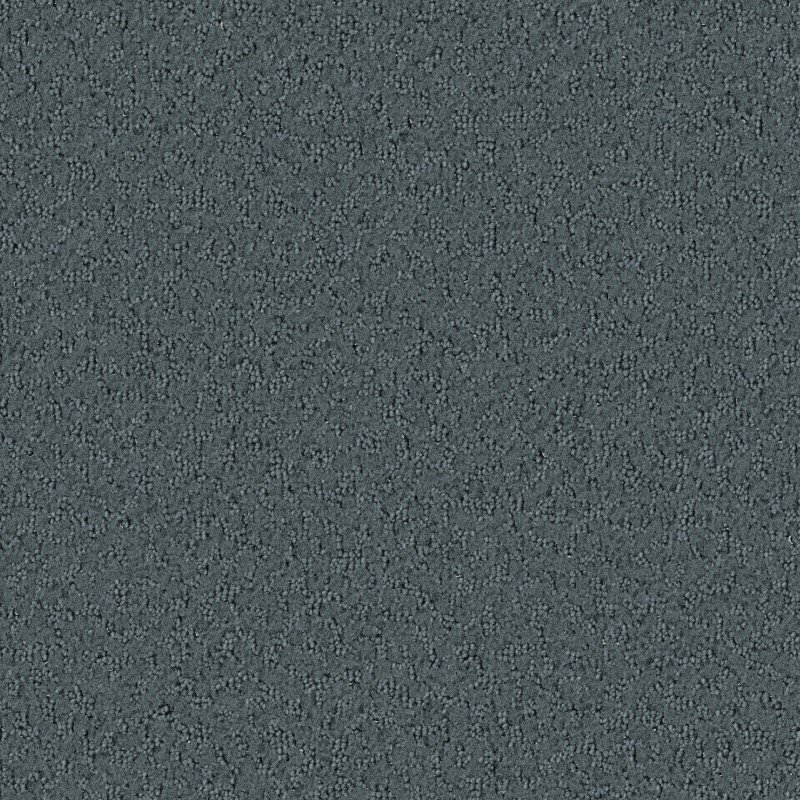 Tarkett Home Promenade Denim Carpet